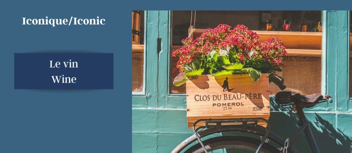 Daily French stories: Le vin/Wine #learnfrench #french #frenchlessons Daily French stories: Le vin/Wine #learnfrench #french #frenchlessons