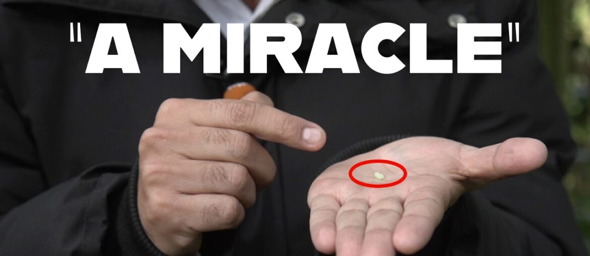 How a Small French Technology Saved Farming in Africa