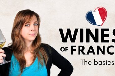 FRENCH WINE Explained