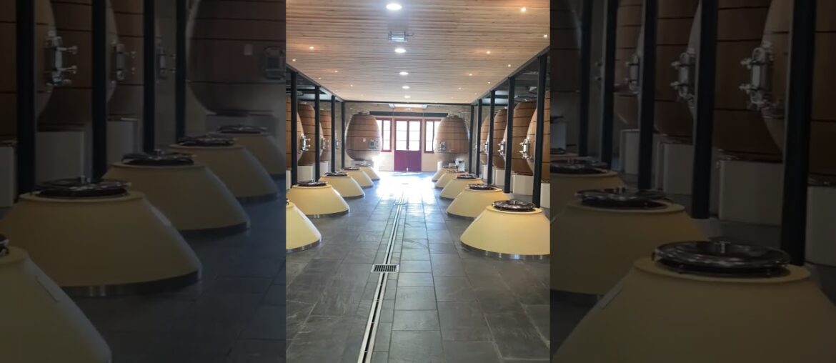 Oak Egg Fermenters at Chateau Pontet Canet in Pauillac #enprimeur #happyeaster Oak Egg Fermenters at Chateau Pontet Canet in Pauillac #enprimeur #happyeaster