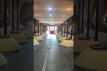 Oak Egg Fermenters at Chateau Pontet Canet in Pauillac #enprimeur #happyeaster