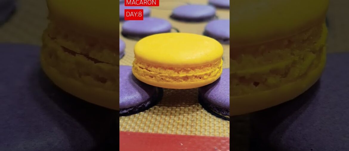 FRENCH MACARONS #trendingcakes #macau #macaron #motivation #cakeseries #viralvideo