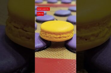FRENCH MACARONS #trendingcakes #macau #macaron #motivation #cakeseries #viralvideo