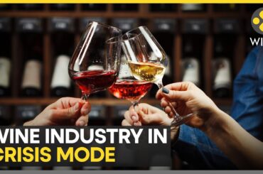 Global Wine Sales Fall To Lowest Levels Since 1961 | World News | WION