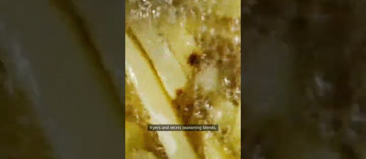 4K Why Do French Fries Taste Better at Restaurants? 4K Why Do French Fries Taste Better at Restaurants?