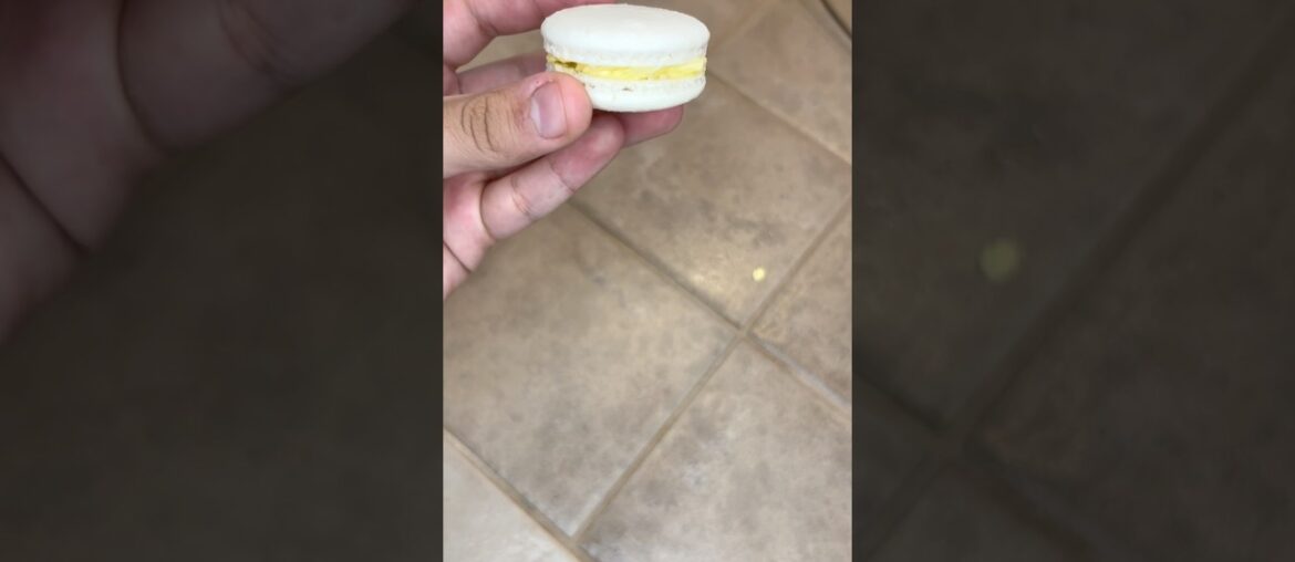 Macarons! #bake #food #dessert #recipe #cake #cooking #french #macarons #cookies #yummy #chocolate