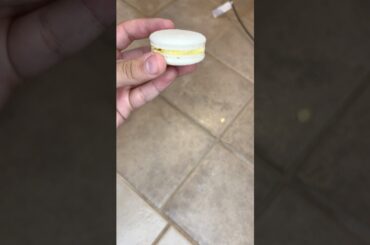 Macarons! #bake #food #dessert #recipe #cake #cooking #french #macarons #cookies #yummy #chocolate