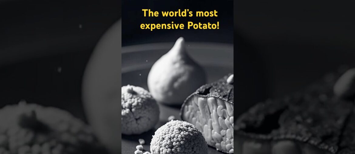 The World s Most Expensive Potato Costs Up to 300 Per Pound The World s Most Expensive Potato Costs Up to 300 Per Pound
