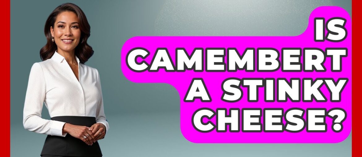 Is Camembert A Stinky Cheese? – France Fact File Is Camembert A Stinky Cheese? - France Fact File