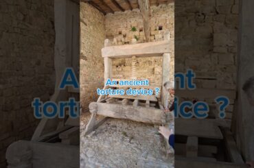 Can you guess what this is?