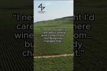 Shop the finest Burgundy wines now on our website!