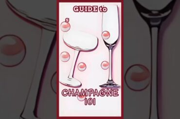 GUIDE to selecting the Perfect CHAMPAGNE Glass!