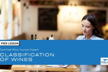 Classification of Wines | Wine Tourism