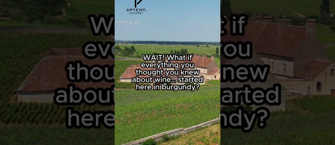 Explore our range of Burgundy wines now!