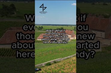 Explore our range of Burgundy wines now!