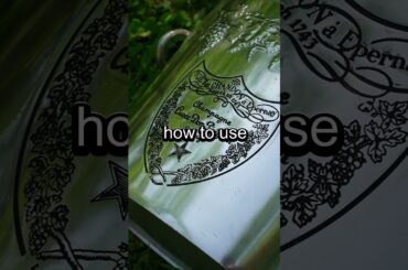 French Champagne Bucket or $500 Trash Bin?