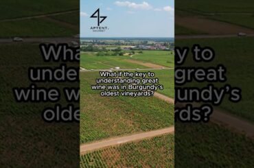 Discover your next Burgundy bottle today!