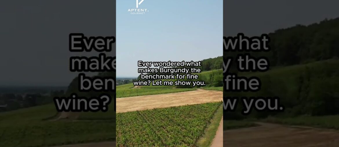 Order Burgundy wines direct from our online cellar