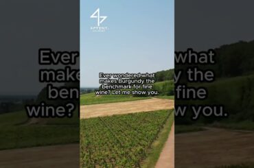 Order Burgundy wines direct from our online cellar