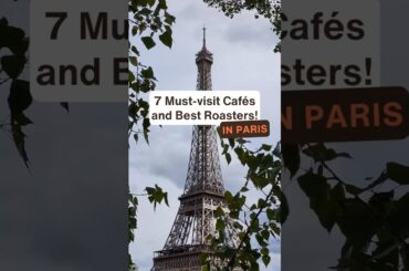 7 Must Visit Cafe and Best Roasters in Paris