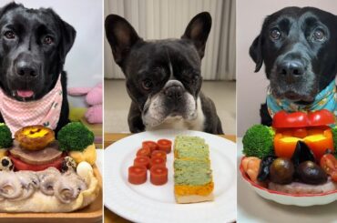 3 Dogs vs Gourmet Dishes | Octopus, Veggie Loaf & Shrimp Showdown!