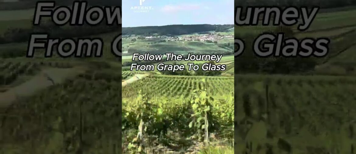 Order Burgundy wines direct from our online cellar!