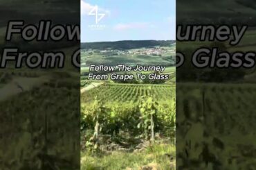 Order Burgundy wines direct from our online cellar!