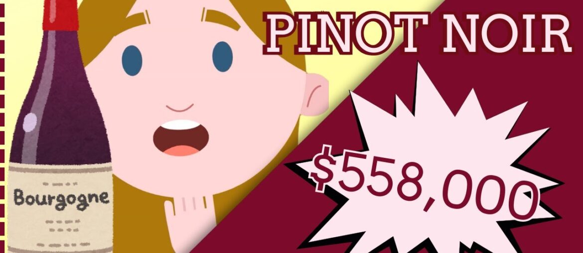 The Most Mysterious Grape That Drives Wine Collectors WILD The Most Mysterious Grape That Drives Wine Collectors WILD