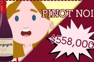 The Most Mysterious Grape That Drives Wine Collectors WILD