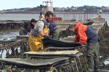 A $10 Billion Ocean Treasure!