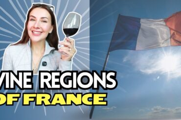 Most Famous Wine Regions of France | Learn About French Wine, Bordeaux, Burgundy, Champagne & More!