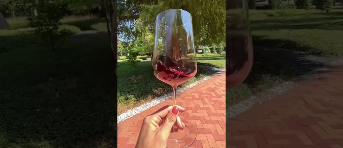 Best wine experience in Bordeaux.