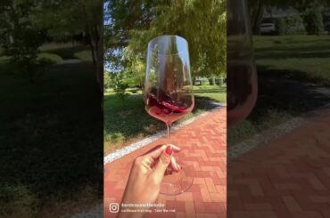 Best wine experience in Bordeaux.