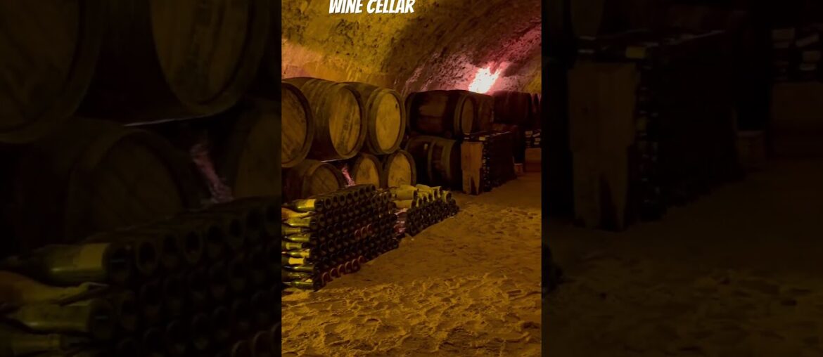 Wine Cellar #wine #winelovers #shorts #barrel #cellar #basement #cave #caves #underground #france