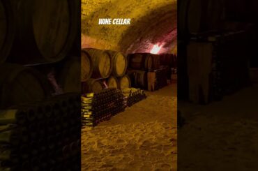 Wine Cellar #wine #winelovers #shorts #barrel #cellar #basement #cave #caves #underground #france