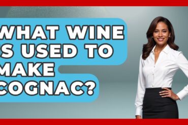What Wine Is Used To Make Cognac? - France Fact File
