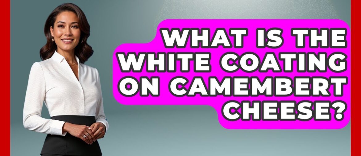 What Is The White Coating On Camembert Cheese? – France Fact File What Is The White Coating On Camembert Cheese? - France Fact File