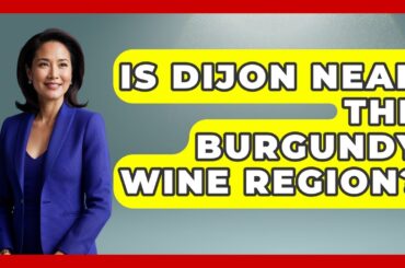 Is Dijon Near The Burgundy Wine Region? - Exploring Southwest Europe