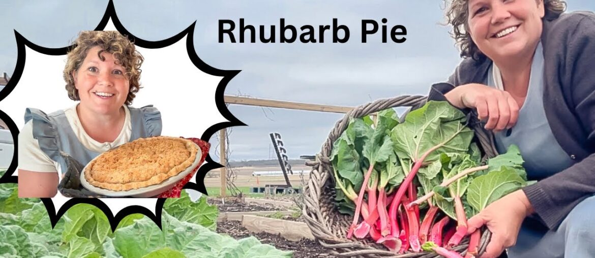 Mennonite Recipe for Rhubarb Pie.