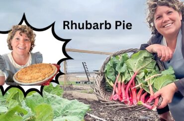 Mennonite Recipe for Rhubarb Pie.