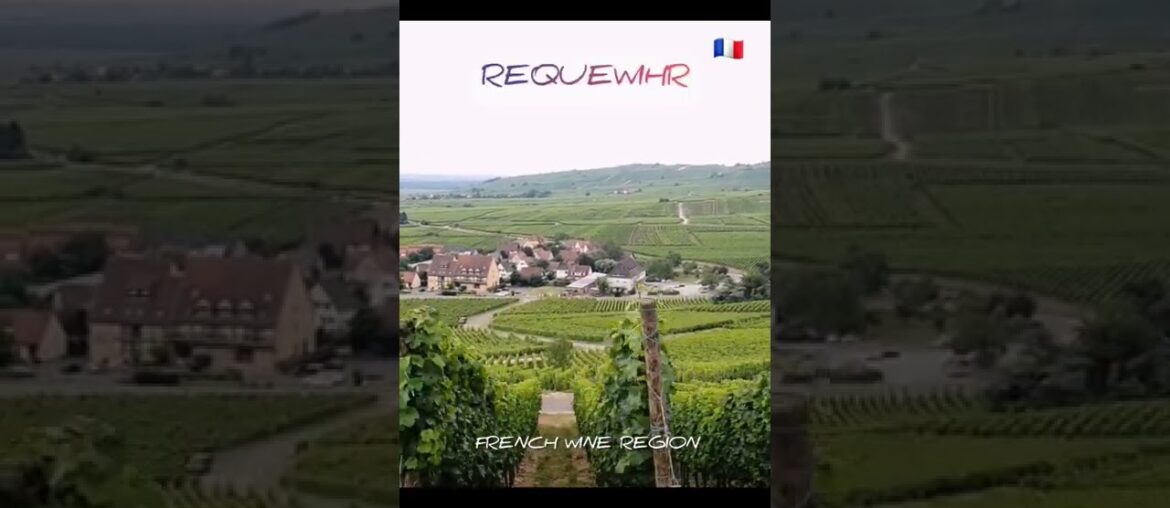 Alsace wine region, France #youtube #youtubeshorts #shorts #shortsvideo #summers #short