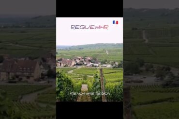 Alsace wine region, France #youtube #youtubeshorts #shorts #shortsvideo #summers #short