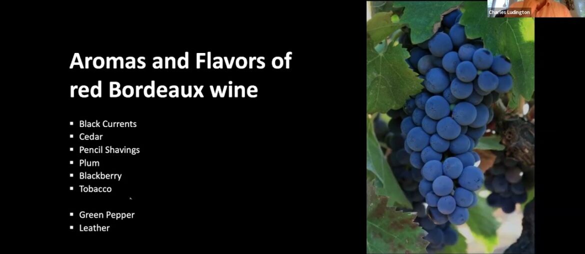 History + Highballs: Bordeaux: A History of the World’s Most Famous Wine