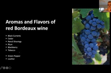 History + Highballs: Bordeaux: A History of the World’s Most Famous Wine