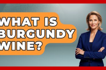 What Is Burgundy Wine? - France Fact File