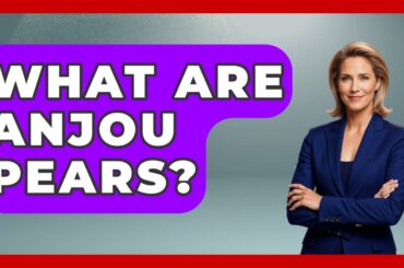 What Are Anjou Pears? - France Fact File