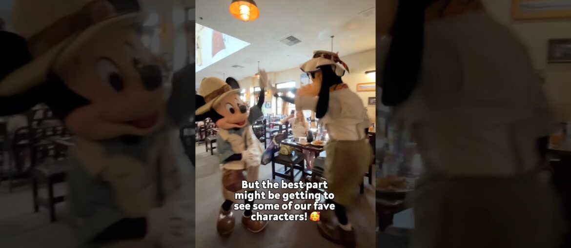 AMAZING Character Dining in Disney World - Tusker House