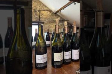 Weekend in Burgundy | Sourcing Hidden Wine Gems in France #winelovers  #avantiwines #frenchwine