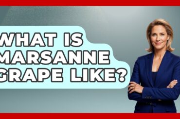 What Is Marsanne Grape Like? - France Fact File