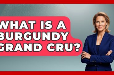 What Is A Burgundy Grand Cru? - France Fact File